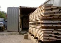  IMB warns vigilence over timber shipments originating in Southeast Asia